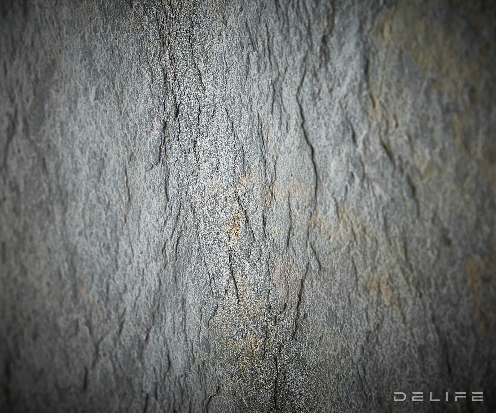 Juwelo komoda, material: akacija