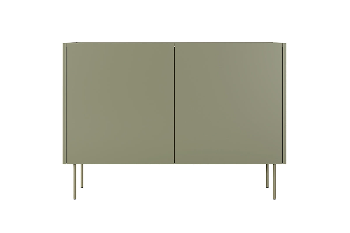 Dizajnerska komoda 120 cm, 2 vrata in 2 predala, Material: MDF